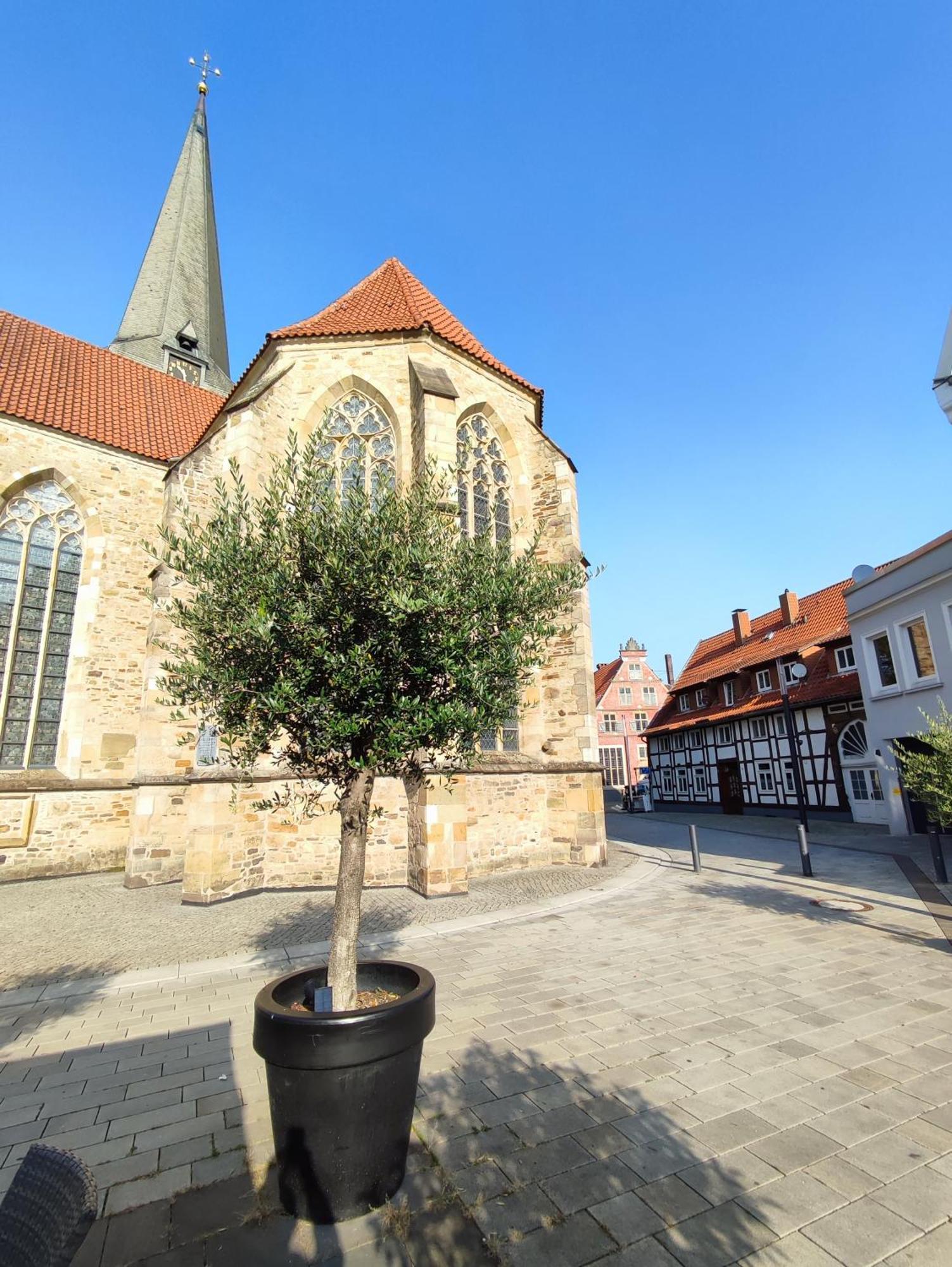 'Bright 1' Innenstadtlage, Ruhige, Schoene, Helle 3Zkb Wlan Herford Eksteriør bilde